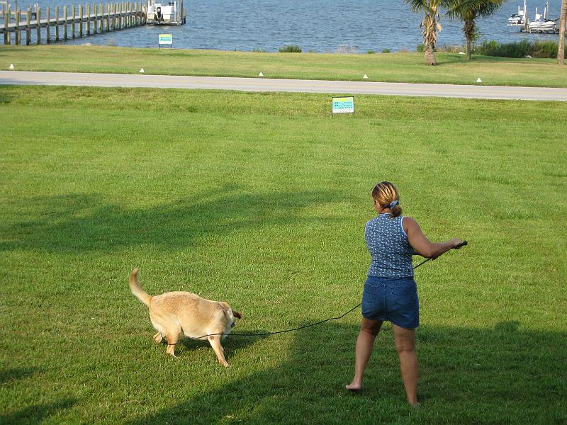 Picture 017